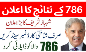 Result Announce 786 Portal by Ehsaas Program Check Your Registration Online