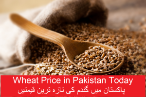 Wheat Price in Pakistan Today: 2023 NEW Wheat Rates for JUNE