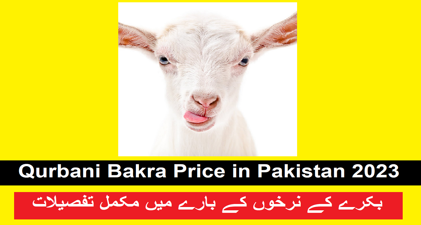 Bakra Price in Pakistan 2023