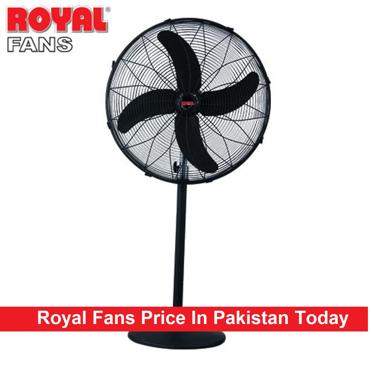 Royal Fans Price In Pakistan Today