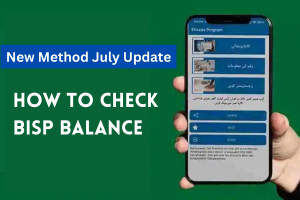 [New Method] How to Check BISP Balance 2023 – Step-By-Step Guide